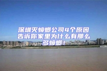 深圳滅蟑螂公司4個(gè)原因告訴你家里為什么有那么多蟑螂！