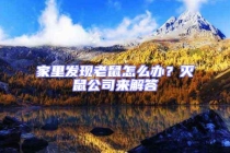 家里發(fā)現(xiàn)老鼠怎么辦？滅鼠公司來解答