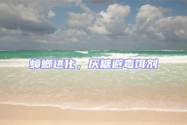 蟑螂進化，厭糖避毒餌劑