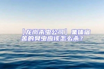 【龍崗殺蟲公司】集體宿舍的臭蟲應該怎么殺？