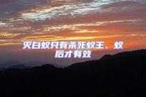 滅白蟻只有殺死蟻王、蟻后才有效