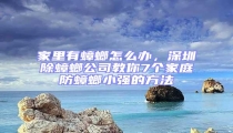 家里有蟑螂怎么辦，深圳除蟑螂公司教你7個家庭防蟑螂小強的方法