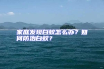 家庭發(fā)現(xiàn)白蟻怎么辦？如何防治白蟻？