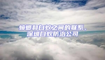 蟑螂和白蟻之間的聯(lián)系，深圳白蟻防治公司