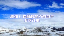 震驚！老鼠的智力相當于8歲兒童