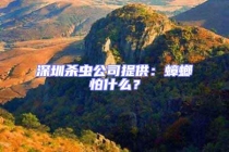 深圳殺蟲公司提供：蟑螂怕什么？