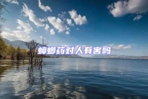 蟑螂藥對人有害嗎