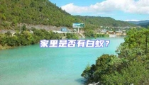家里是否有白蟻？