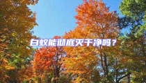 白蟻能徹底滅干凈嗎？