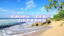 深圳白蟻站：建筑物產生白蟻危害的原因