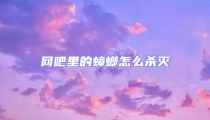 網(wǎng)吧里的蟑螂怎么殺滅