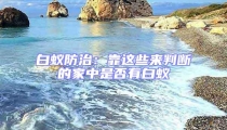 白蟻防治：靠這些來判斷的家中是否有白蟻