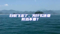 白蟻飛走了，為什么還要防治不要？