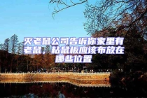 滅老鼠公司告訴你家里有老鼠，粘鼠板應該布放在哪些位置