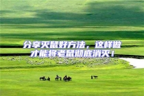 分享滅鼠好方法，這樣做才能將老鼠徹底消滅！