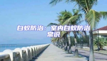 白蟻防治：室內白蟻防治常識