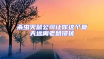 殺蟲(chóng)滅鼠公司讓你這個(gè)夏天遠(yuǎn)離老鼠侵?jǐn)_