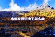 木制家具生蟲(chóng)了怎么辦