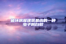 破壞房屋建筑最兇的一種蟲子叫白蟻