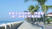 老房子出現白蟻，找誰解決？殺蟲公司來幫你