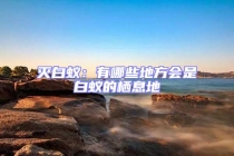 滅白蟻：有哪些地方會是白蟻的棲息地