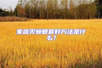 家庭滅蟑螂最好方法是什么？