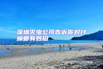 深圳滅蟲(chóng)公司告訴你對(duì)付蟑螂有妙招