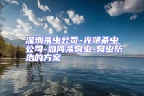 深圳殺蟲公司-光明殺蟲公司-如何殺臭蟲-臭蟲防治的方案