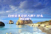 白蟻會不會咬人?。渴裁唇邪紫仯? uk-img class=
