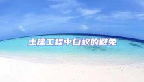 土建工程中白蟻的避免