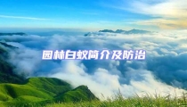 園林白蟻簡(jiǎn)介及防治