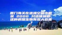 廈門海關(guān)在進(jìn)境空箱中截獲 2000 只活體蟑螂，這種病媒生物有多大危害？
