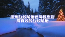 深圳白蟻防治公司教您如何有效的白蟻防治