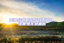 滅蟲公司防控與引誘結(jié)合，讓害蟲無(wú)處遁形