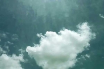 防治白蟻：成熟的蟻群會產(chǎn)生大量的繁殖蟻進行分群