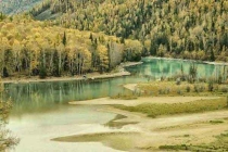 深圳殺蟲(chóng)公司給你最專業(yè)的殺蟲(chóng)服務(wù)