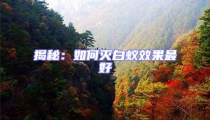 揭秘：如何滅白蟻效果最好