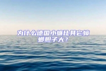 為什么德國小蠊比其它蟑螂膽子大？