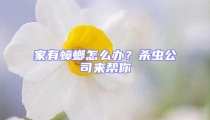 家有蟑螂怎么辦？殺蟲公司來幫你