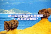 除蟲公司分析什么是蛾蠓？怎么消滅蛾蠓？