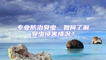 專業防治臭蟲，如何了解臭蟲侵害情況？