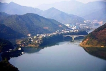 深圳專業(yè)除蟲(chóng)公司