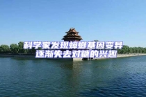 科學家發現蟑螂基因變異 逐漸失去對糖的興趣