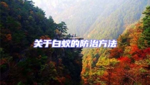 關于白蟻的防治方法