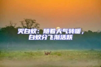 滅白蟻：隨著天氣轉(zhuǎn)暖，白蟻分飛漸活躍