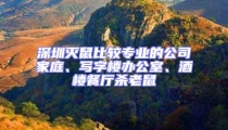 深圳滅鼠比較專業的公司家庭、寫字樓辦公室、酒樓餐廳殺老鼠