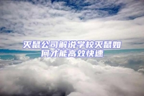 滅鼠公司解說學校滅鼠如何才能高效快速