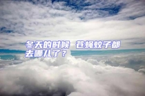 冬天的時(shí)候 蒼蠅蚊子都去哪兒了？