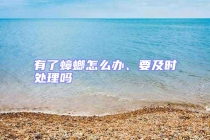 有了蟑螂怎么辦、要及時處理嗎