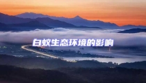白蟻生態環境的影響